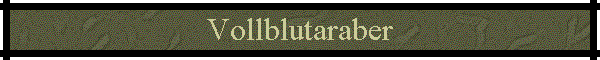 Vollblutaraber