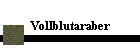 Vollblutaraber