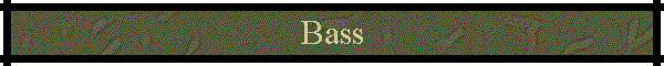 Bass